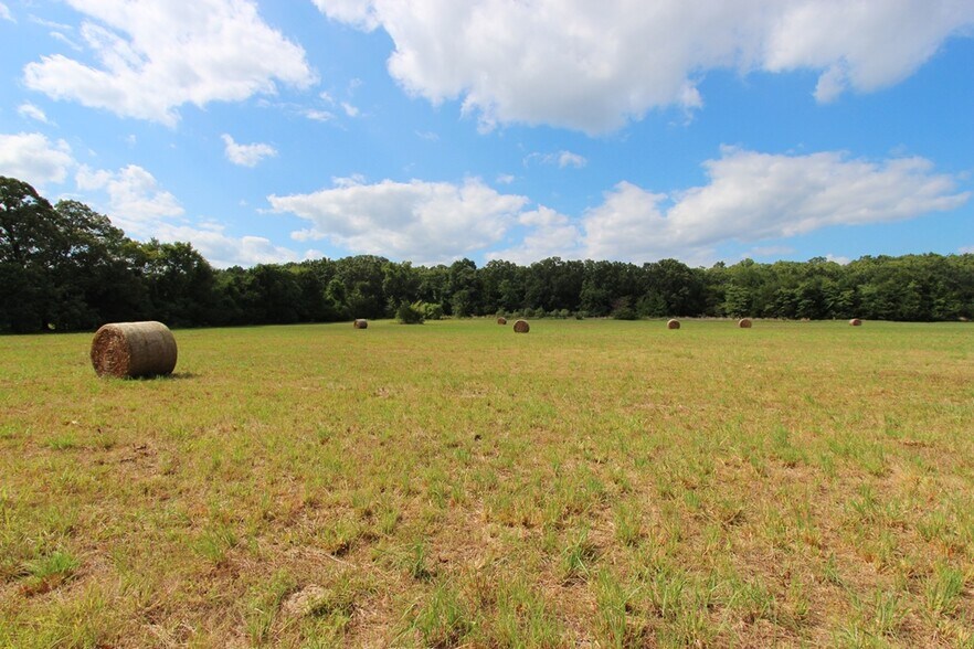 More Photos Of 278 Highway 64 E, Conway Land For Sale