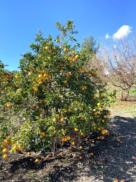 More Photos Of 12120 Stockton Rd, Moorpark Land For Sale