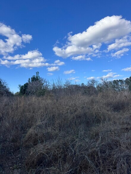 More Photos Of 16982 SE Highway 42, Weirsdale Land For Sale