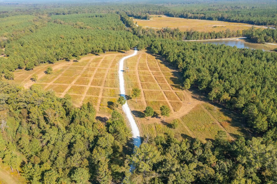 More Photos Of 18618 Hwy 43, Linden Land For Sale