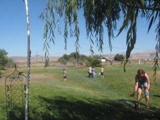 Primary Photo Of 4000 San Felipe Rd, Hollister Land For Sale