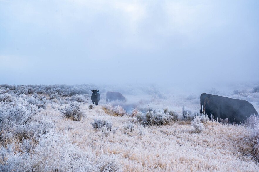 More Photos Of 67254 Highway 299 E, Cedarville Land For Sale