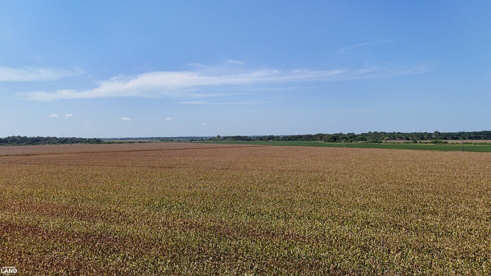 More Photos Of 1120 Highway 165 N, Stuttgart Land For Sale