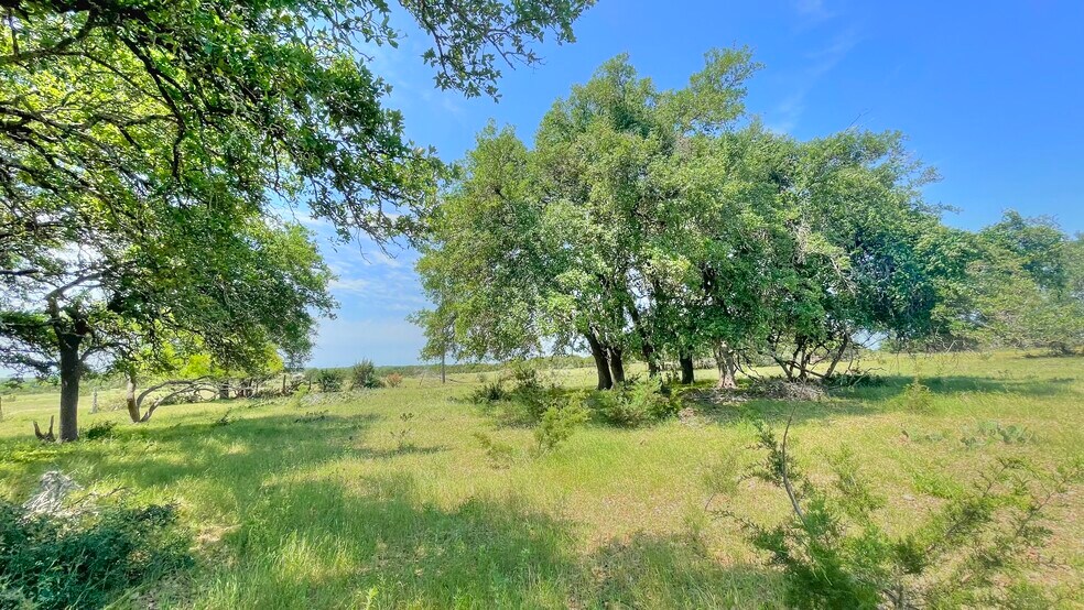 More Photos Of County Road 253, Bertram Land For Sale