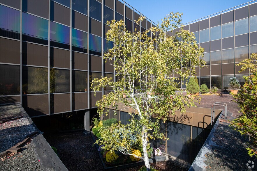 More Photos Of 98 Cuttermill Rd, Great Neck Office For Lease