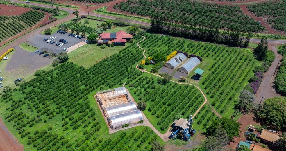 More Photos Of 870 Halewili rd, Kalaheo Land For Sale