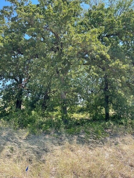 More Photos Of TBD W 380 hwy, Bridgeport Land For Sale