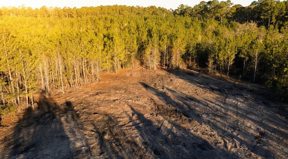 More Photos Of 319 - 547 Sisters Ferry Road, Ridgeland Land For Sale