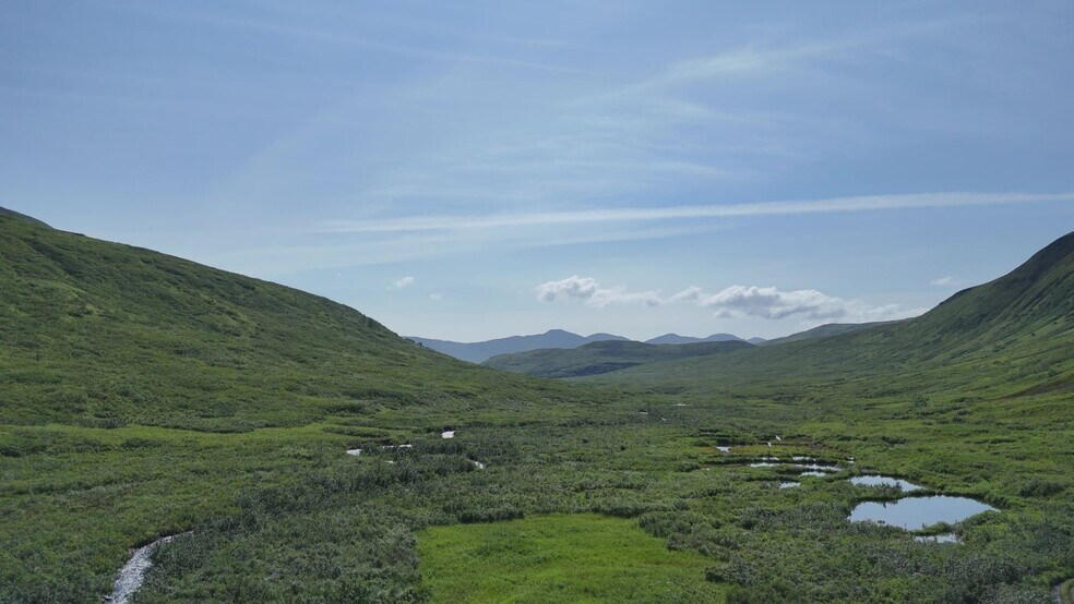 More Photos Of 000 Dutch Creek Gold Mine, Trapper Creek Land For Sale