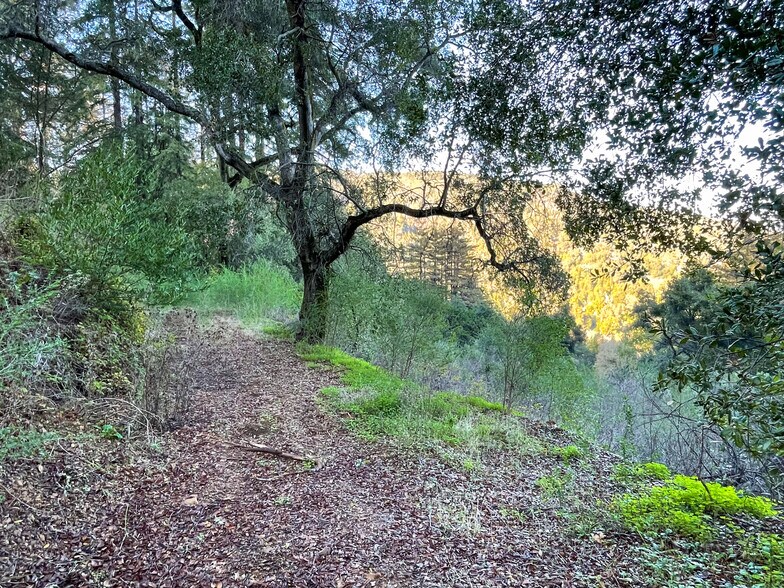 More Photos Of 18655 Black, Los Gatos Land For Sale
