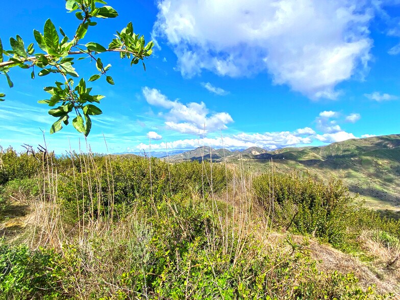 More Photos Of 3945 Pacific Coast Hwy, Ventura Land For Sale