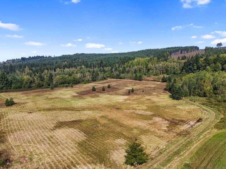 More Photos Of 104 Bills Ln, Onalaska Land For Sale