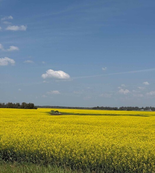 Primary Photo Of 23404 Township Rd 554, Sturgeon County Land For Sale