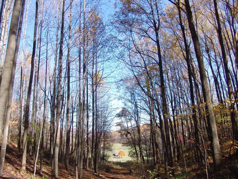 More Photos Of Little Washington Rappahannock County, Washington Land For Sale