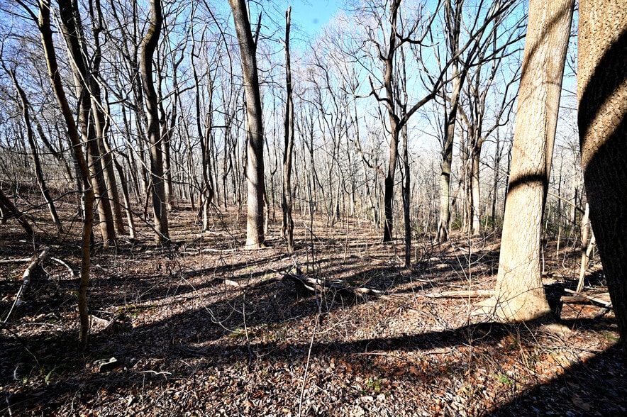 More Photos Of Richard Allen St, Aquasco Land For Sale