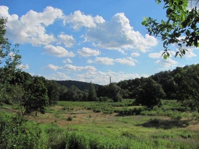 Primary Photo Of 955 Pine Grove Rd, Industry Land For Sale