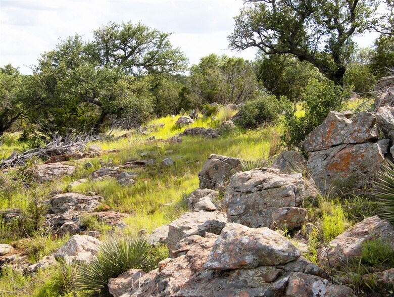More Photos Of 6110 TX-29, Burnet Land For Sale