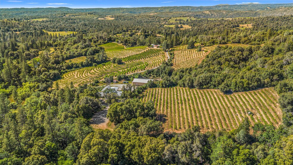 More Photos Of 8221 Stoney Creek Rd, Fair Play Winery Vineyard For Sale