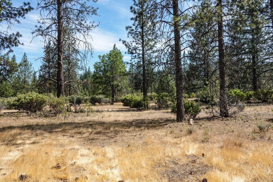 More Photos Of 4912 Kidder Creek Loop, Etna Land For Sale