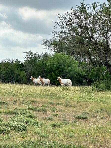 More Photos Of 5734 County Road 305, Beeville Land For Lease
