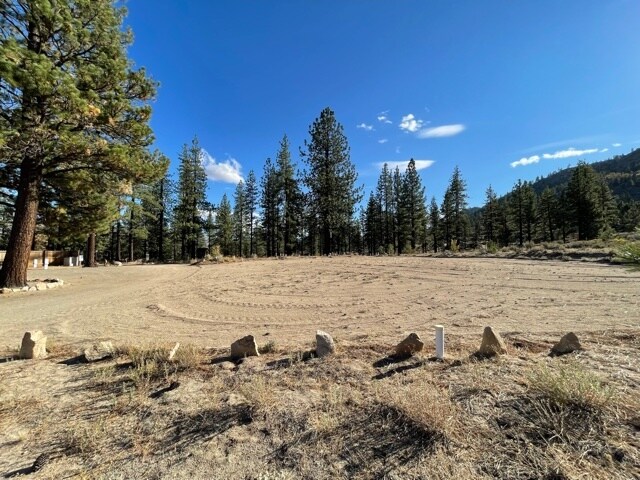 More Photos Of 415-025 Scott Rd, Doyle Land For Sale