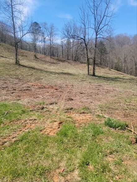 More Photos Of 174 Walter Ashe Rd, Sylva Land For Sale