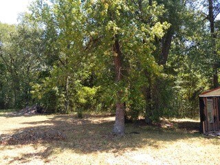 More Photos Of 26664 FM 1485 Rd, New Caney Land For Sale