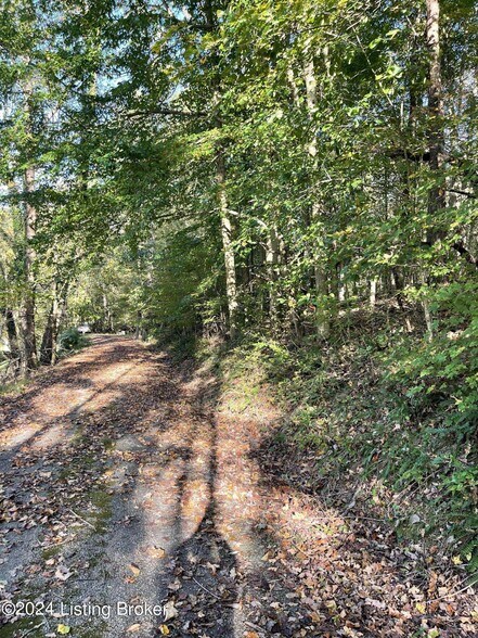 More Photos Of 370 Gracie Ln, Caneyville Land For Sale