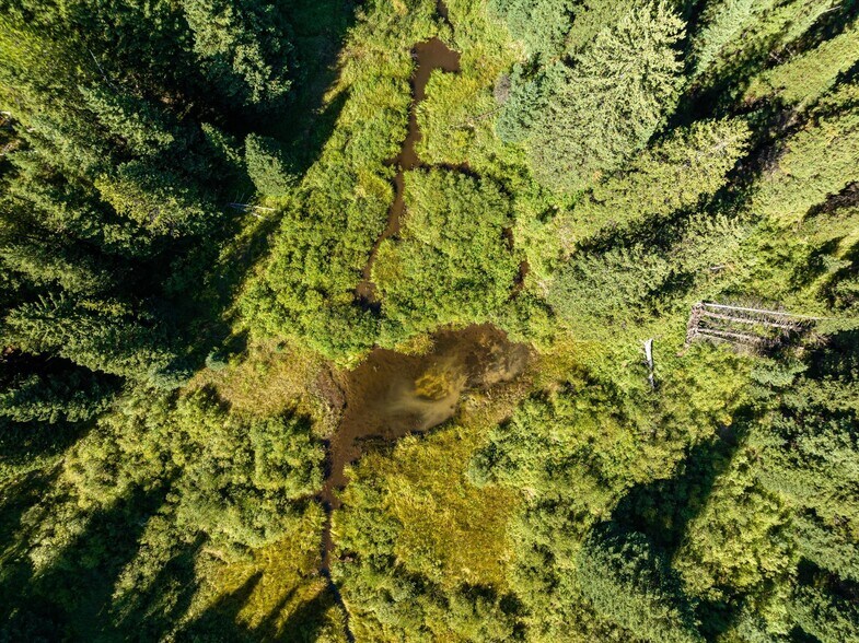 More Photos Of Nhn Logan Creek Road, Kila Land For Sale