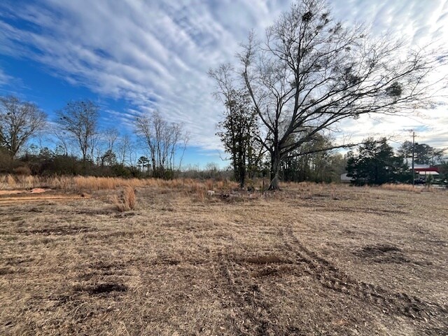More Photos Of 52000 Block US-31 Hwy, Perdido Land For Sale