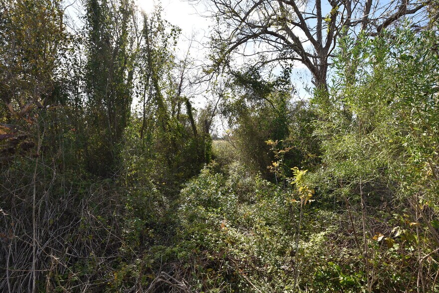 More Photos Of 201 County Road 224, Wharton Land For Sale