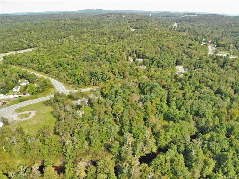 More Photos Of Old Route 17 @ County Route 174, Harris Land For Sale