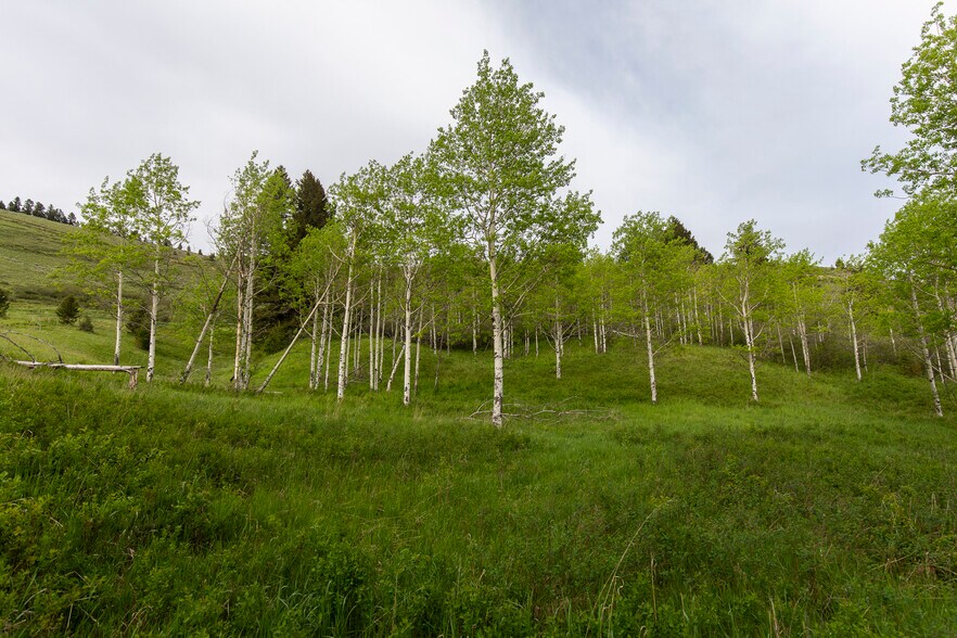More Photos Of 3 Trail Creek Rd, Bozeman Land For Sale