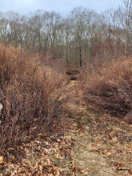 More Photos Of 4 Commerce Ct, Ledyard Land For Lease