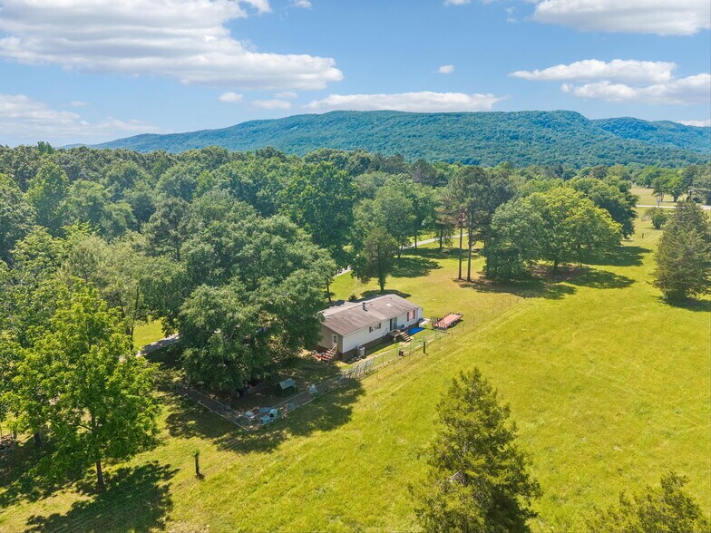 More Photos Of 49 Cutting Edge Ln, Dunlap Freestanding For Sale