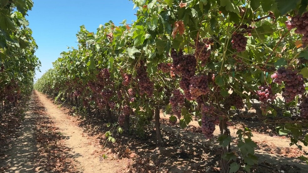 Primary Photo Of 34338 Nevis, Mc Farland Land For Sale