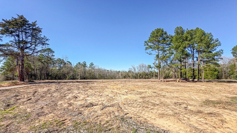 More Photos Of TBD Highway 105, Cleveland Land For Lease