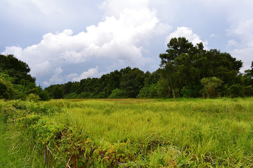 More Photos Of 0 Highway 92 E, Auburndale Land For Sale