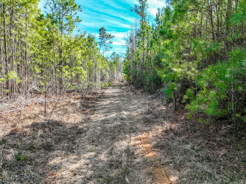 More Photos Of 184 Young Rd, Milledgeville Land For Sale