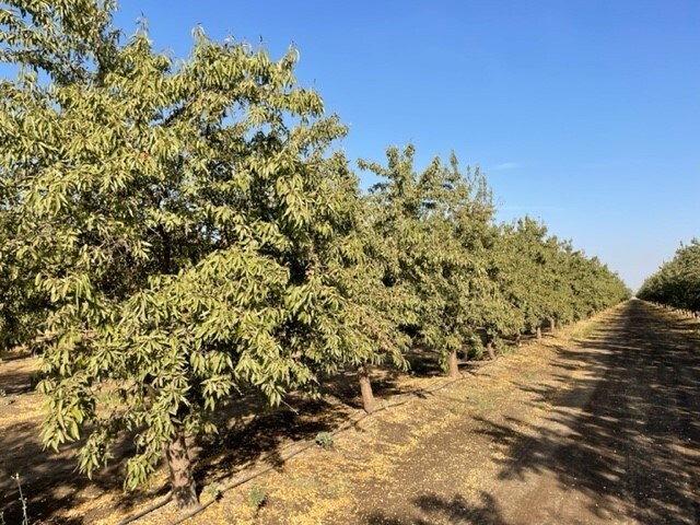 More Photos Of N/E Corner Avenue 228 & Road 56, Tulare Land For Sale