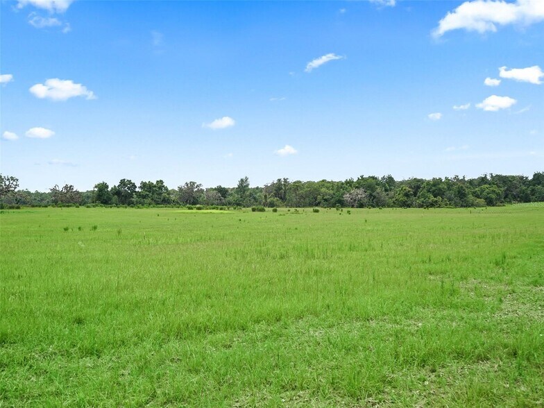 More Photos Of CR 635, Bushnell Land For Sale