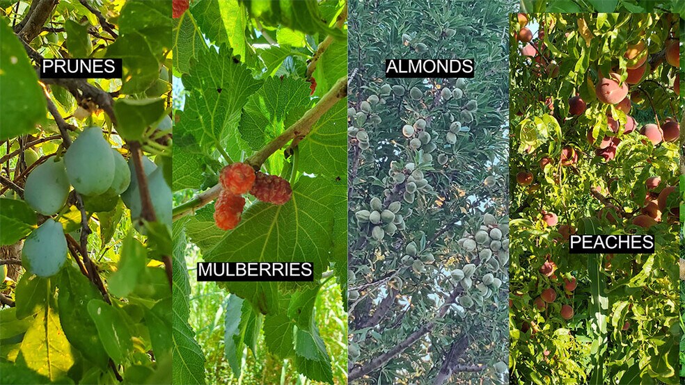 Primary Photo Of 13915 US 70, Fort Thomas Land For Sale