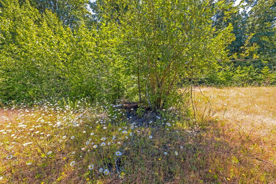 More Photos Of 2143 Bethel Rd SE, Port Orchard Land For Sale