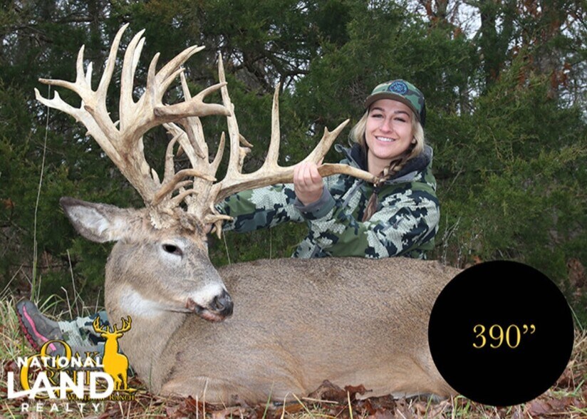 More Photos Of 178 Oak Creek Ln, Bland Land For Sale