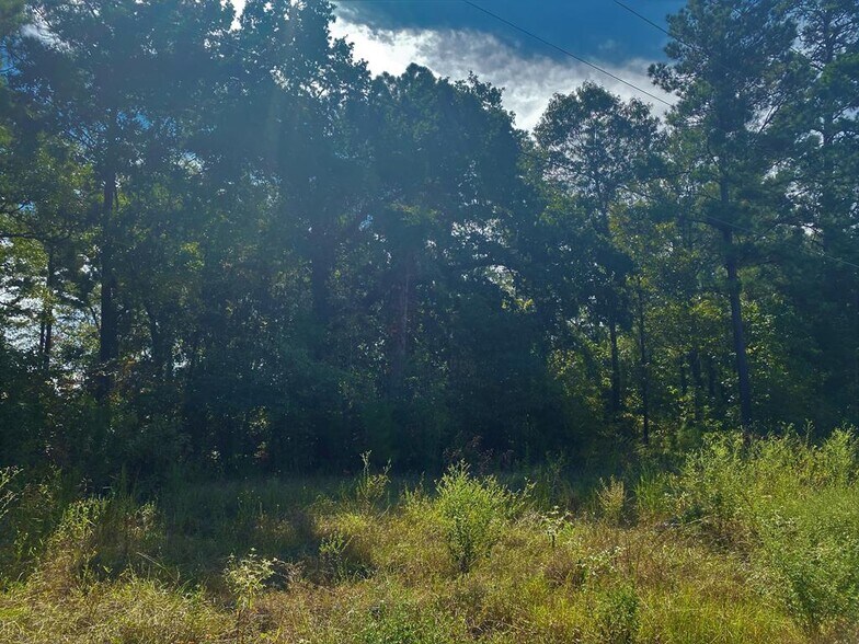 More Photos Of 2.94 ac South Street, Nacogdoches Land For Sale