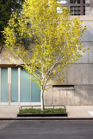 More Photos Of 547 W 25th St, New York Storefront For Sale