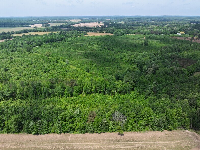 More Photos Of 0 State Route 22a, Enville Land For Sale
