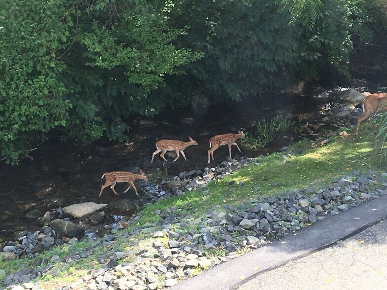 More Photos Of 75 Claremont Rd, Bernardsville Office For Lease