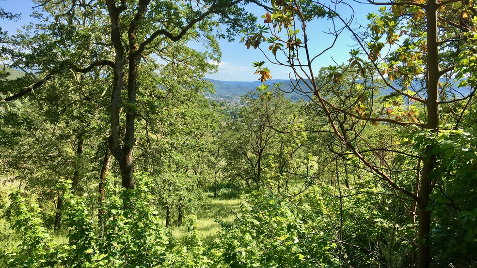 More Photos Of 0 NE Edenbower Blvd, Roseburg Land For Sale