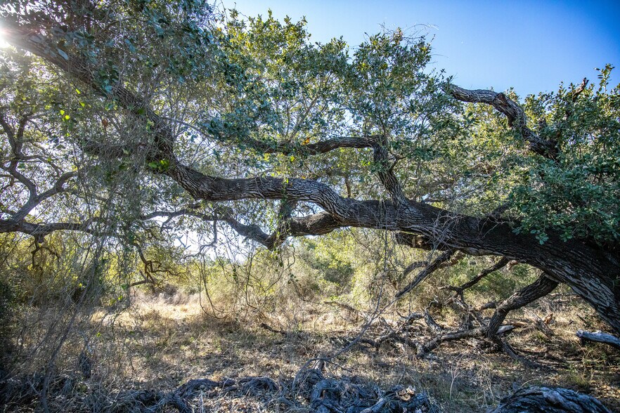 More Photos Of 6498 Highway 35 North, Rockport Land For Sale